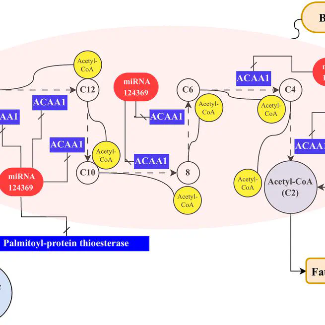 Machine learning-aided microRNA discovery for olive oil quality