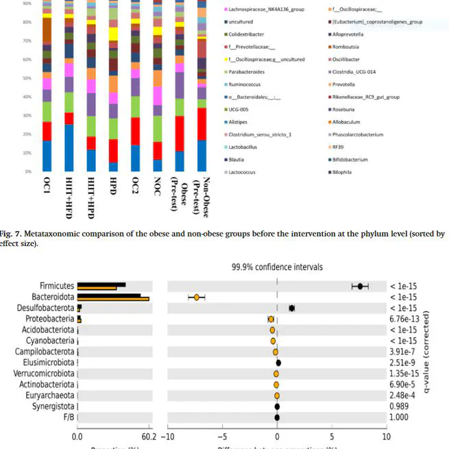 Interaction between high-intensity interval training and high-protein diet on gut microbiota composition and body weight in obese male rats