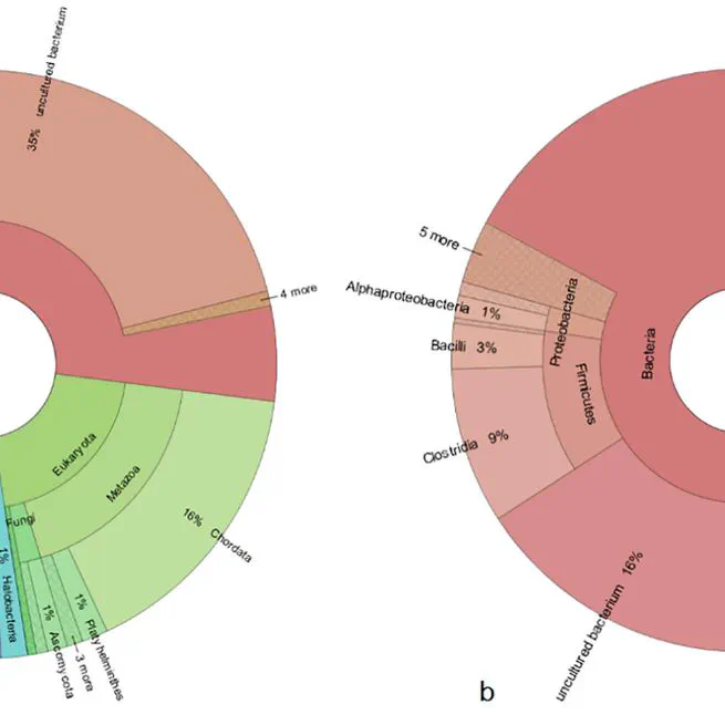 Genomic palaeoparasitology traced the occurrence of Taenia asiatica in ancient Iran (Sassanid Empire, 2th cent. CE–6th cent. CE)