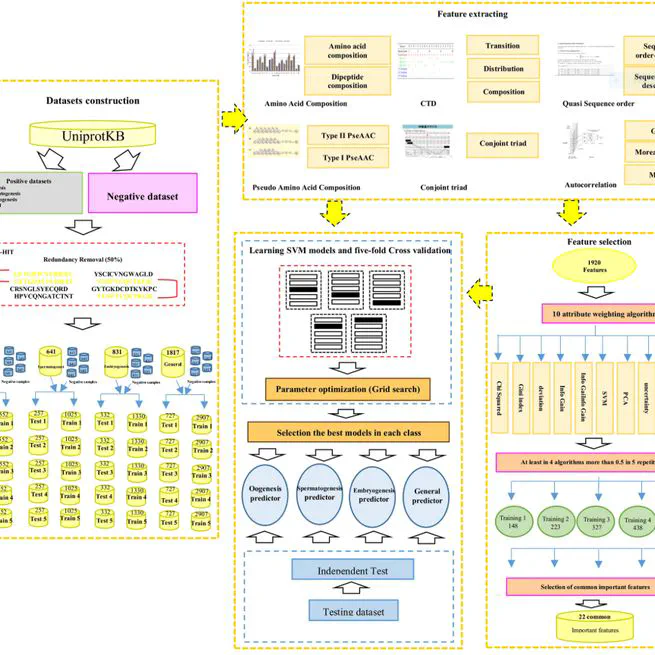 PrESOgenesis: a two-layer multi-label predictor for identifying fertility-related proteins using support vector machine and pseudo amino acid composition approach
