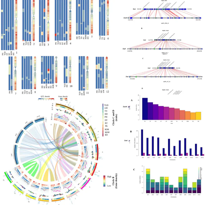 Meta-QTL and ortho-MQTL analyses identified genomic regions controlling rice yield, yield-related traits and root architecture under water deficit conditions