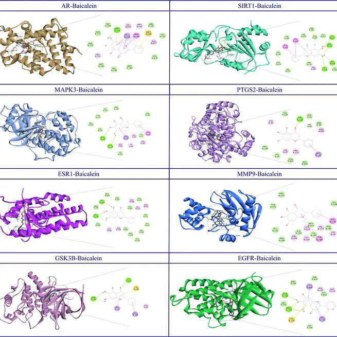 Advanced Molecular Mechanisms of Baicalein's Neuroprotective Effects in Neurodegenerative Disease Treatments