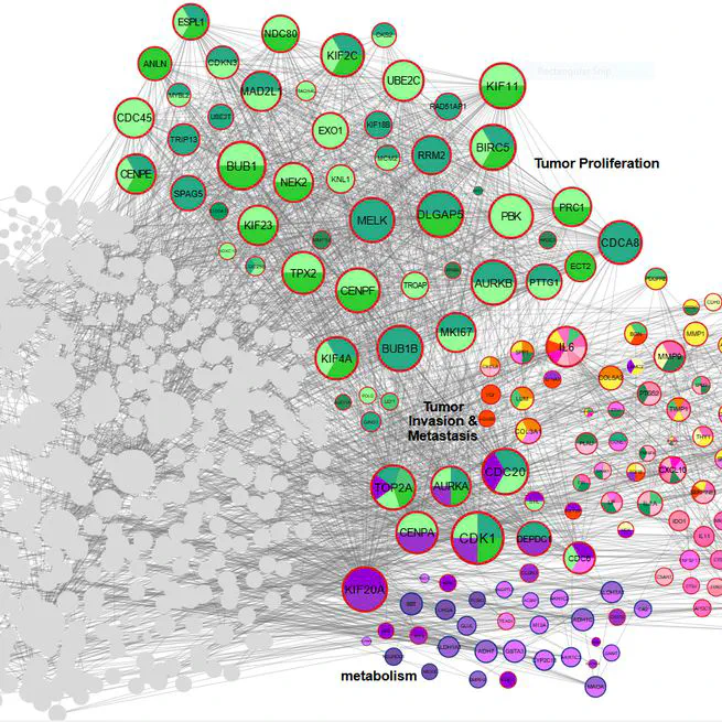 Decoding Gastric Cancer: An AI-Driven Transcriptomic Meta-Analysis
