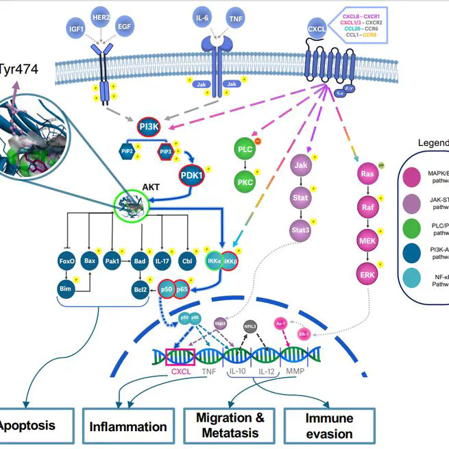 Oleuropein's Effects on Breast Cancer Revealed by RNA-Sequencing and Machine Learning