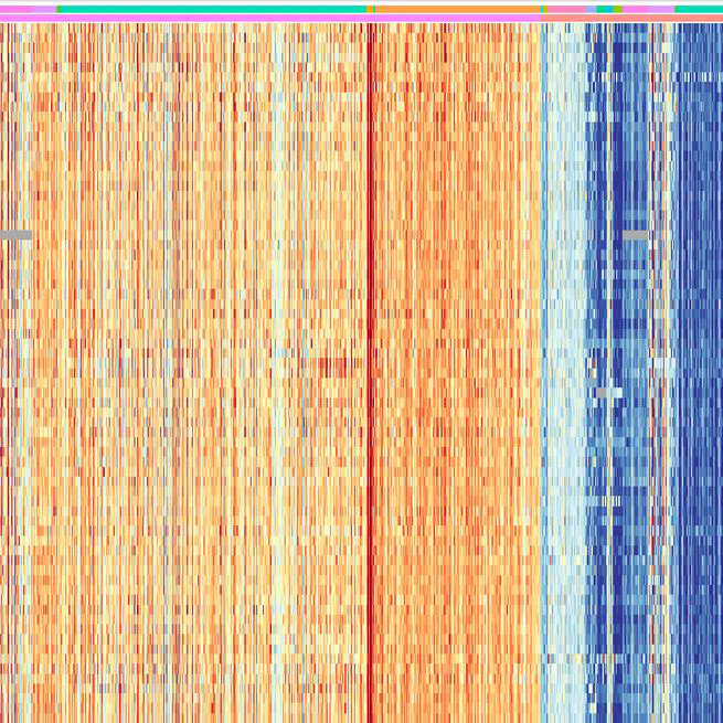 A comprehensive transcriptomic meta-Analysis leveraging deep learning to uncover molecular signatures and potential therapeutic targets in Triple-Negative Breast Cancers
