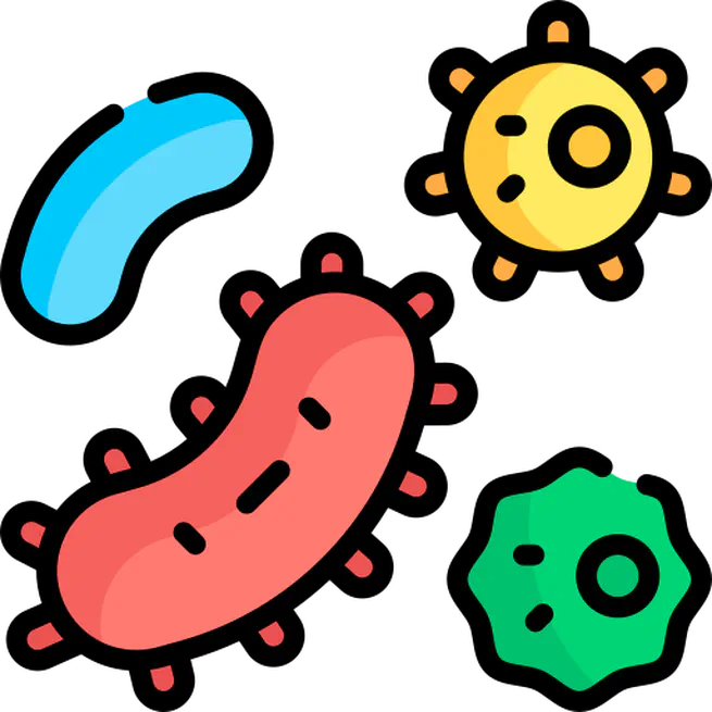 Small Genomes