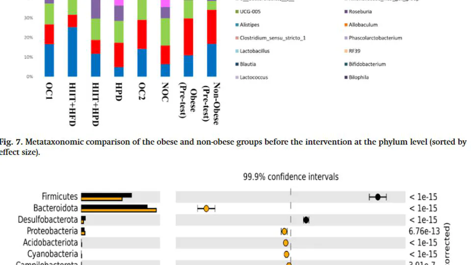 Interaction between high-intensity interval training and high-protein diet on gut microbiota composition and body weight in obese male rats