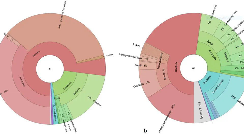 Genomic palaeoparasitology traced the occurrence of Taenia asiatica in ancient Iran (Sassanid Empire, 2th cent. CE–6th cent. CE)