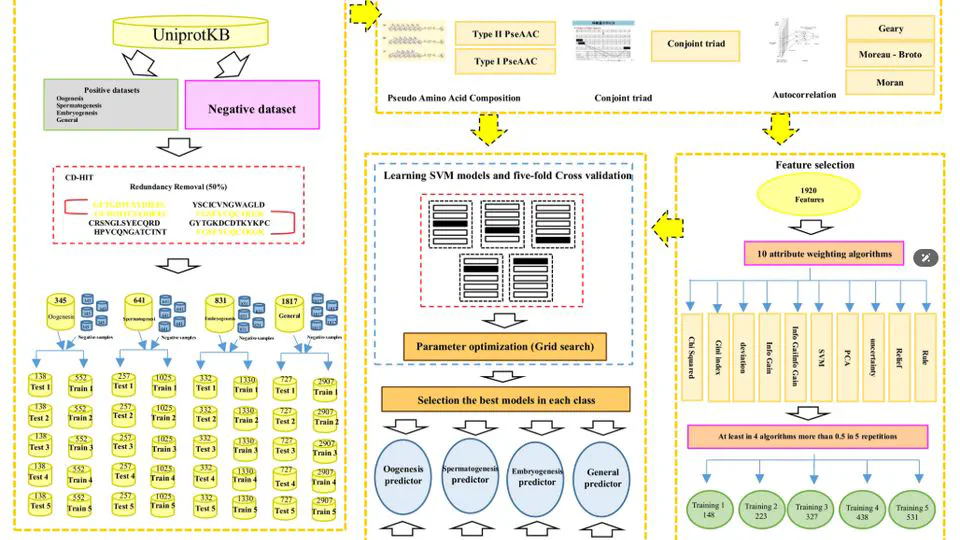 PrESOgenesis: a two-layer multi-label predictor for identifying fertility-related proteins using support vector machine and pseudo amino acid composition approach