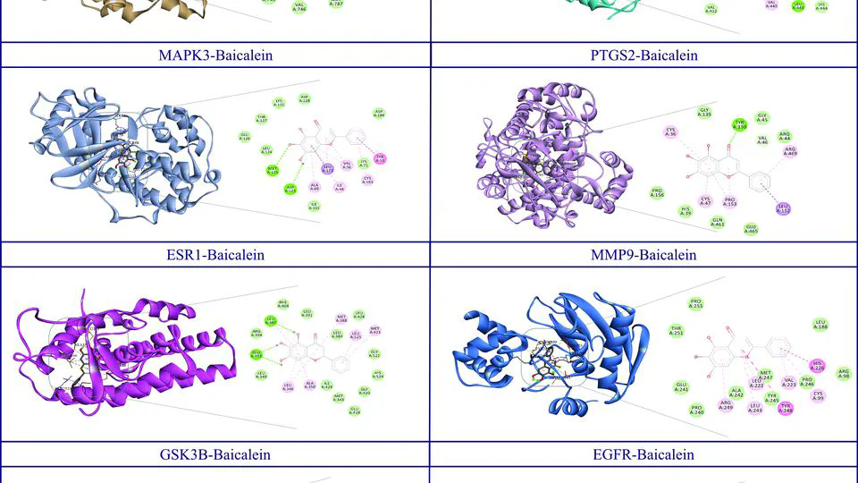 Advanced Molecular Mechanisms of Baicalein's Neuroprotective Effects in Neurodegenerative Disease Treatments