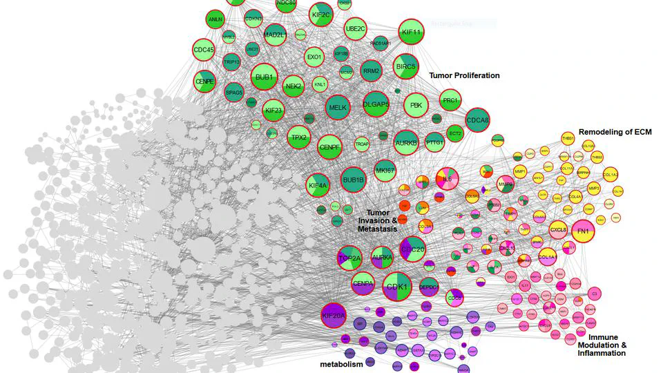 Decoding Gastric Cancer: An AI-Driven Transcriptomic Meta-Analysis