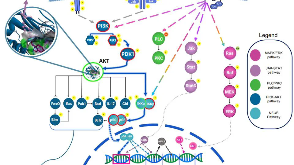 Oleuropein's Effects on Breast Cancer Revealed by RNA-Sequencing and Machine Learning