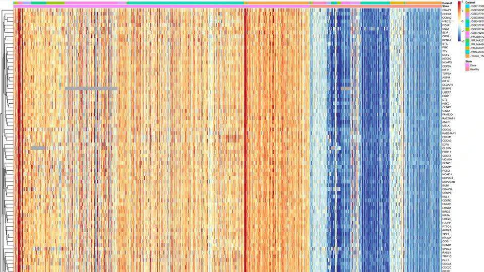A comprehensive transcriptomic meta-Analysis leveraging deep learning to uncover molecular signatures and potential therapeutic targets in Triple-Negative Breast Cancers